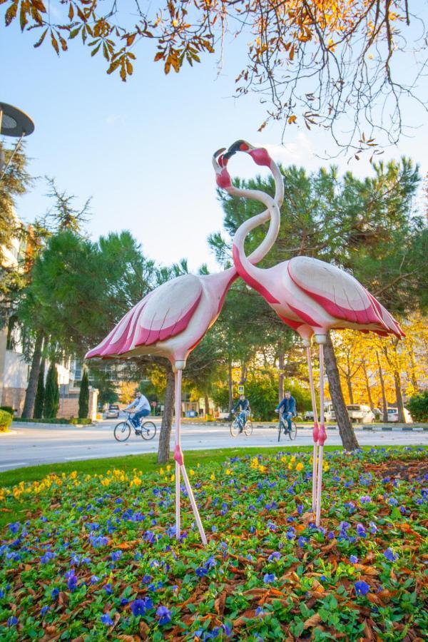 Flamingo Grand Hotel & Spa Албена Экстерьер фото